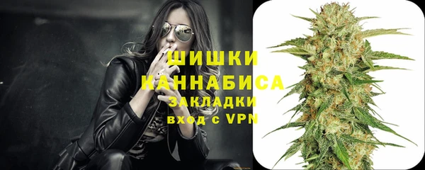 соль ск Касимов