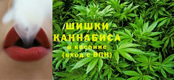 соль ск Касимов
