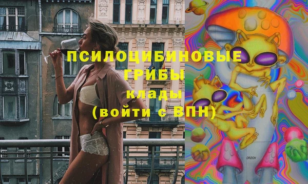соль ск Касимов