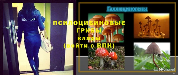 ПСИЛОЦИБИНОВЫЕ ГРИБЫ Кинешма