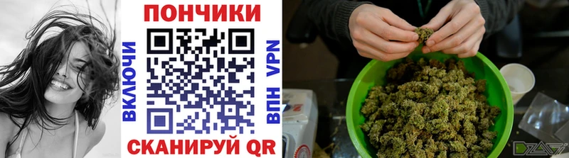 Шишки марихуана конопля  Купить где  Озёрск 